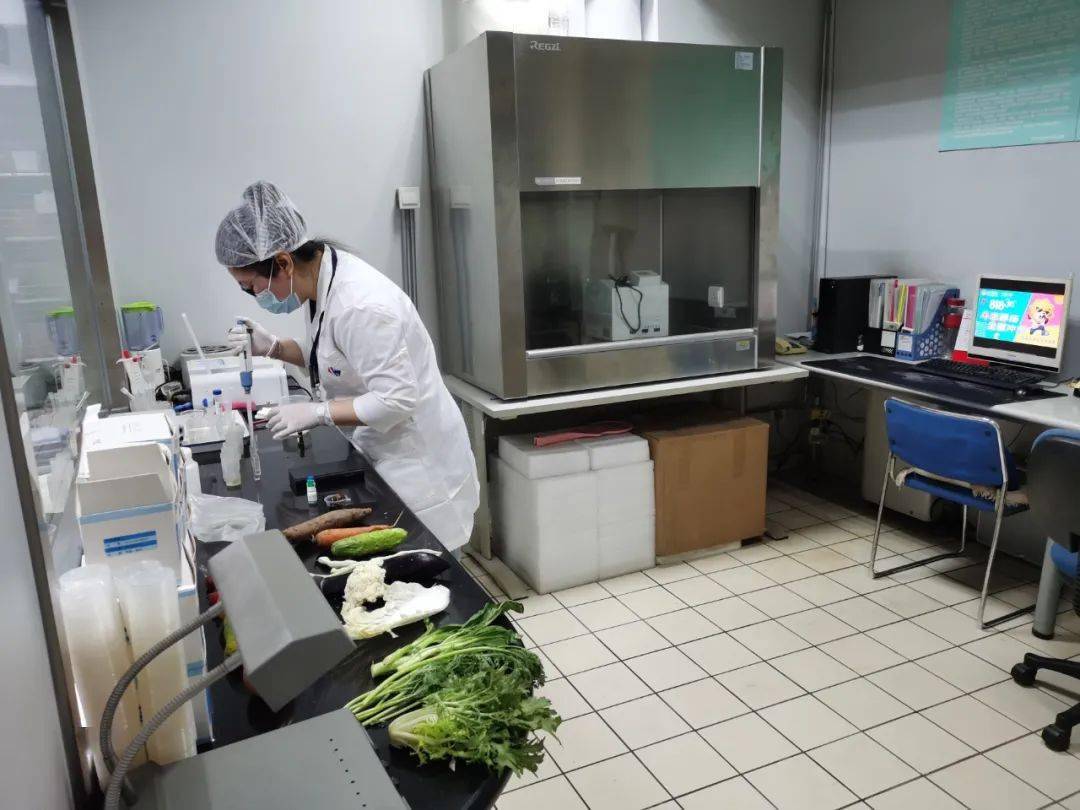 武都食品检测实验室装修方案